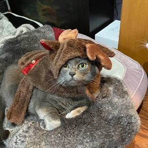 Meet your Posher, Jeanne